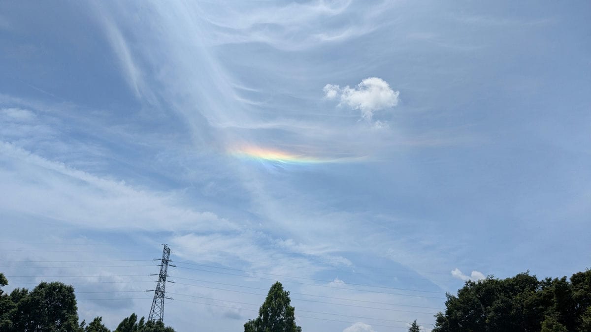 小中合同で公園愛護活動＆練習！