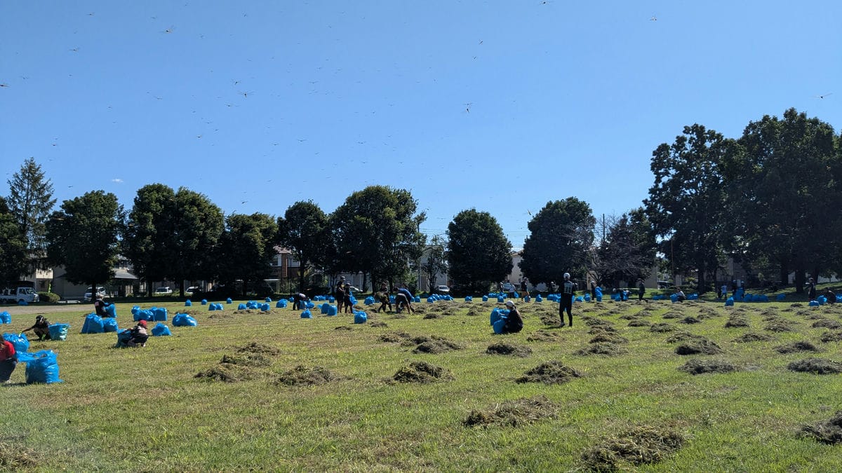 令和7年10月25日（土） 奉仕作業「草集め」実施